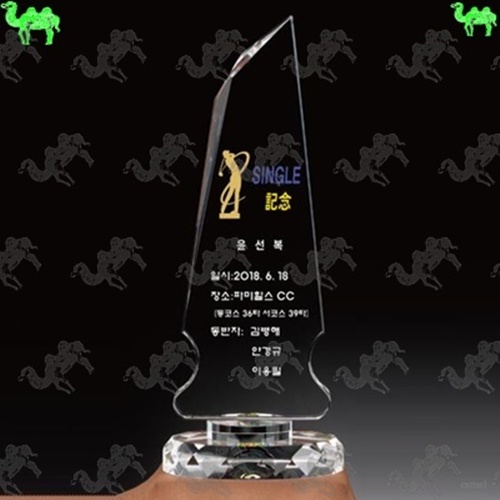 골프대회 싱글패 크리스탈트로피 7103