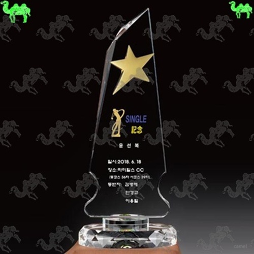 골프대회 싱글패 크리스탈트로피 5979
