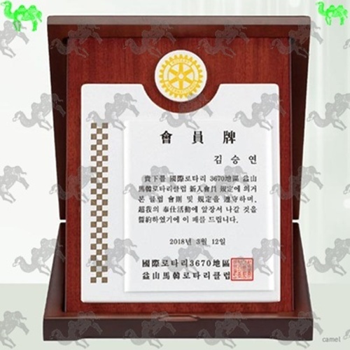 가리비상패 8879