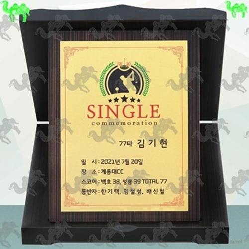 골프대회 싱글패 가리비상패 5198