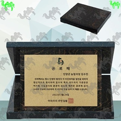 가리비상패 5034