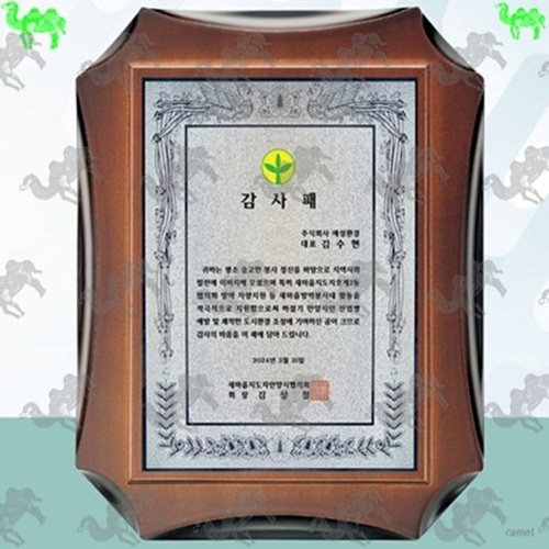 원목상패 6167