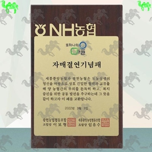 기념패 원목상패 6278