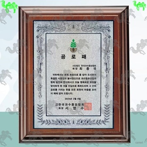원목상패 5788
