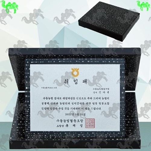 취임패 가리비상패 3309