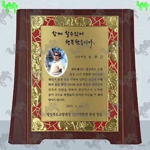 다보상패 8642