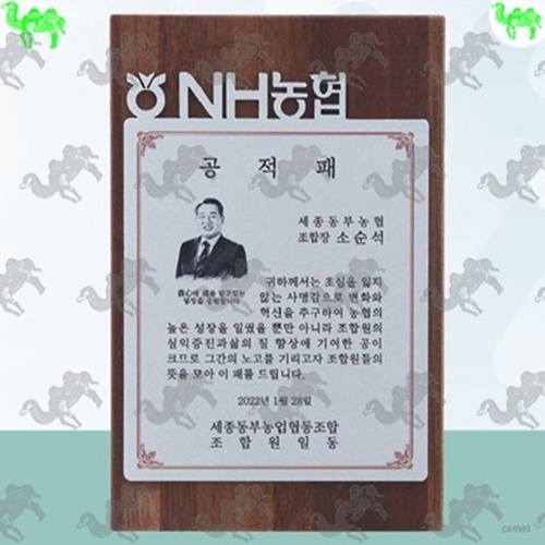 공적패 원목상패 5383
