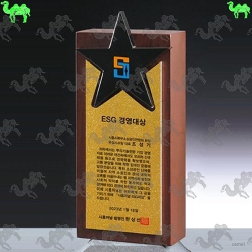 대상 원목상패 6226