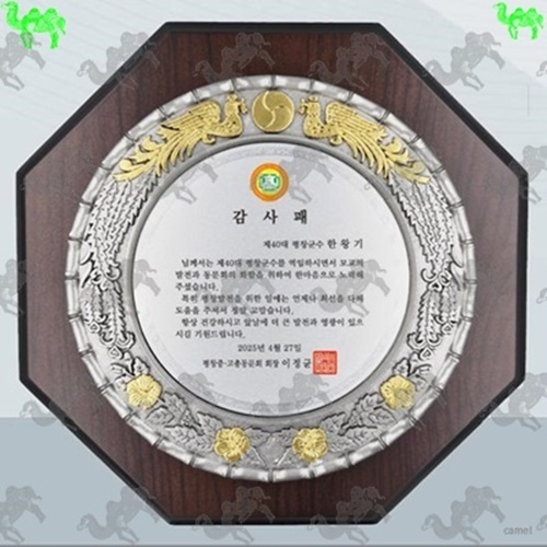 감사패 짤프상패 4538