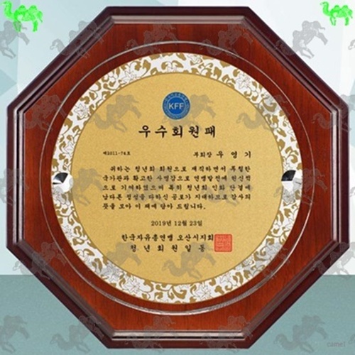 우수회원패 다보상패 3579