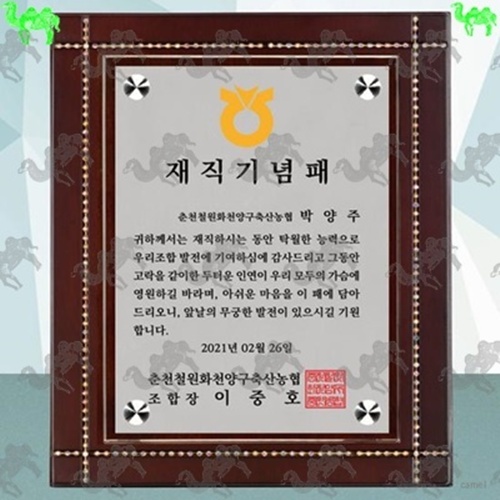재직기념패 다보상패 3911