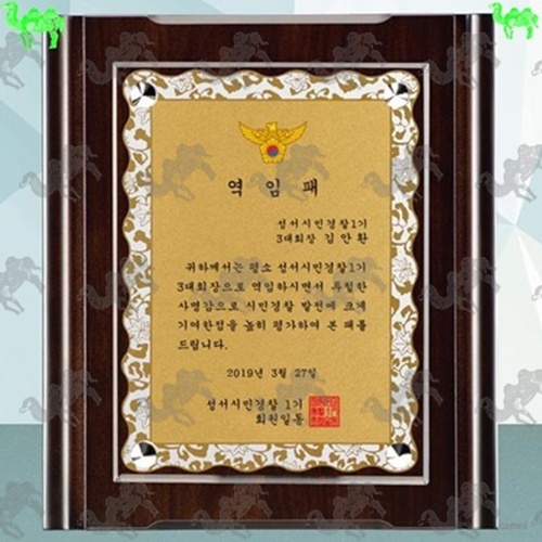 다보상패 6239
