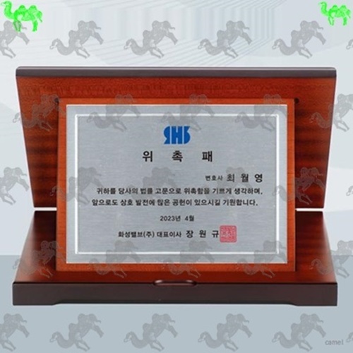 가리비상패 4434