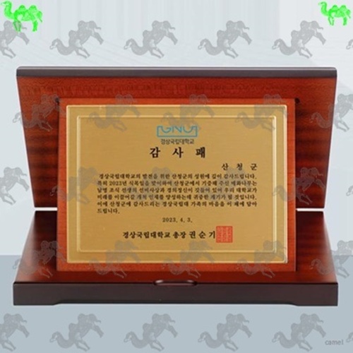 감사패 가리비상패 3031