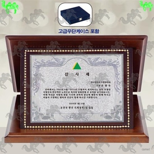 가리비상패 5358
