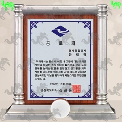캐스팅상패 2545