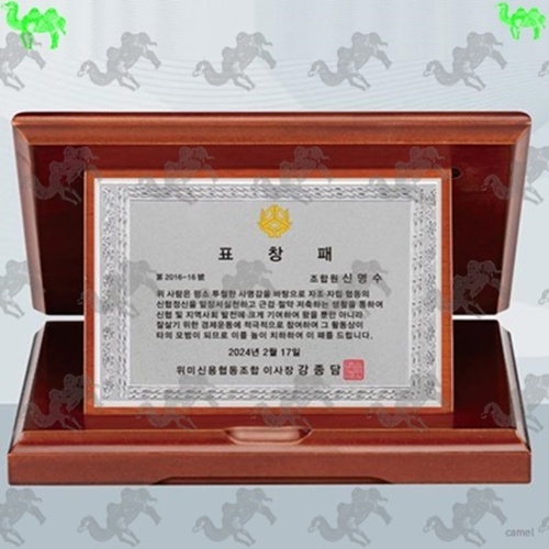 가리비상패 3566