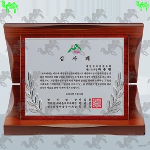 감사패 가리비상패 6045