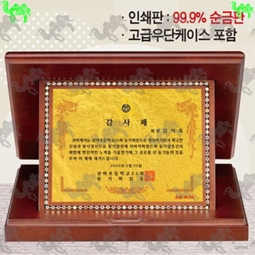 가리비상패 9883