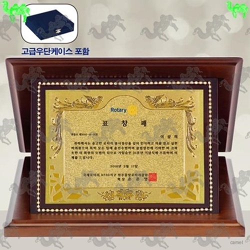 가리비상패 1859