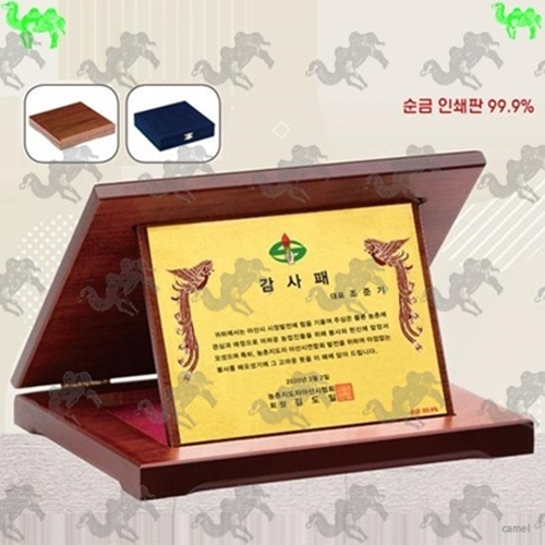감사패 가리비상패 9094