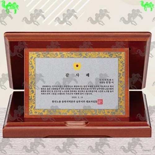 가리비상패 3893