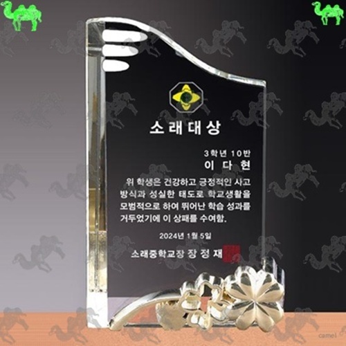 대상 크리스탈상패 6593