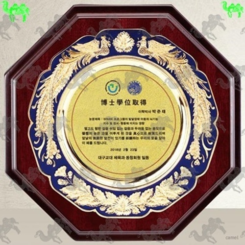 쟁반상패 9325