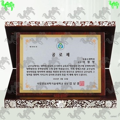 공로패 가리비상패 6927