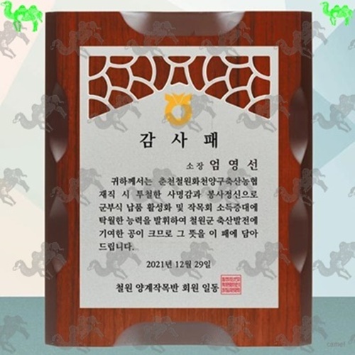 감사패 메탈상패 4005