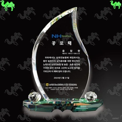 공로패 크리스탈상패 1105