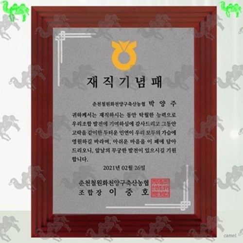 재직기념패 메탈상패 2128