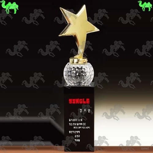 골프크리스탈트로피 9981