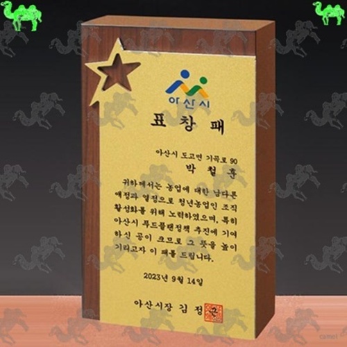 표창패 메탈상패 6678