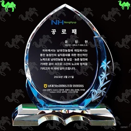 공로패 크리스탈상패 9065