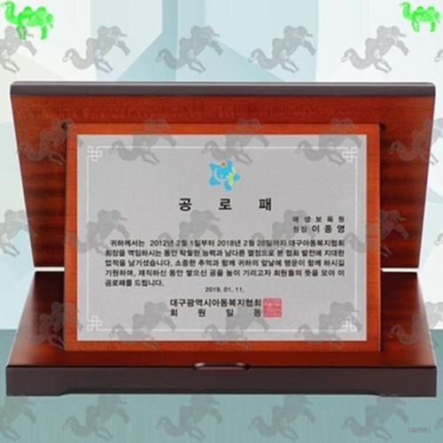 가리비상패 5195