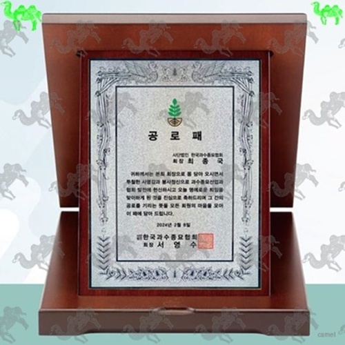 가리비상패 3204
