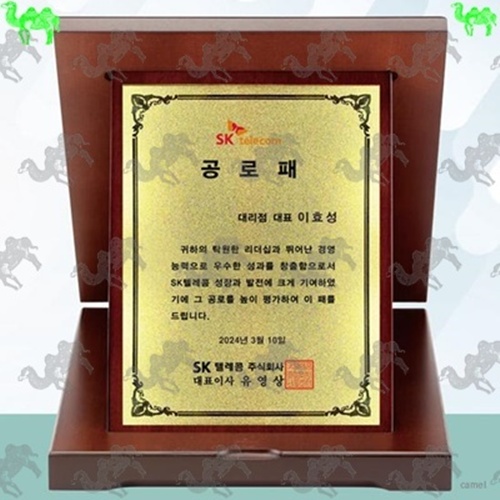 가리비상패 8902