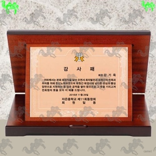 가리비상패 9520
