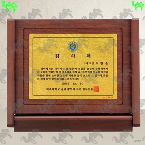 가리비상패 4835