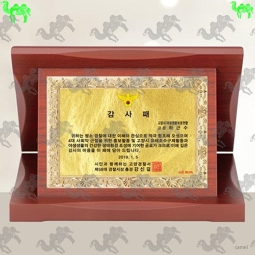 가리비상패 9907