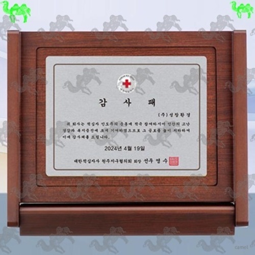 가리비상패 1269