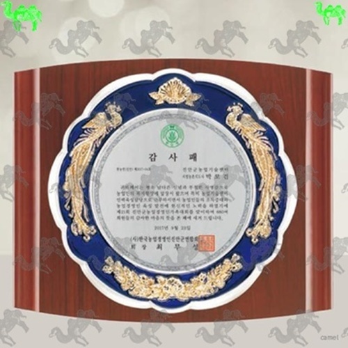 감사패 짤프상패 9084