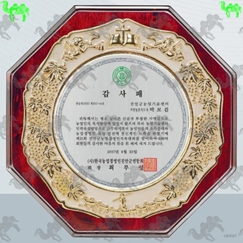 감사패 짤프상패 3330