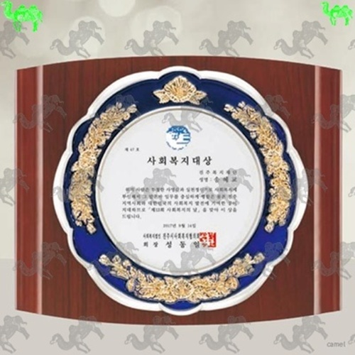 대상 짤프상패 9072