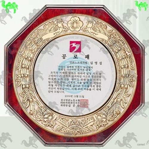 공로패 짤프상패 6164
