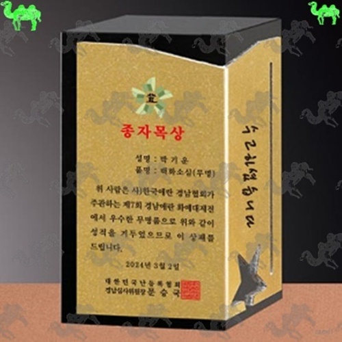 종자목상 크리스탈상패 5739