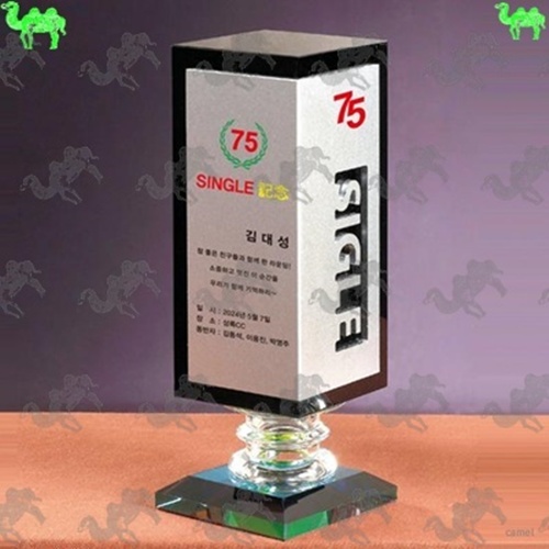 골프대회 싱글패 크리스탈트로피 8596