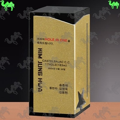 골프대회 홀인원패 크리스탈트로피 9941