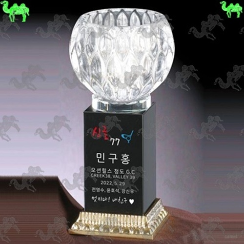 크리스탈트로피 4540